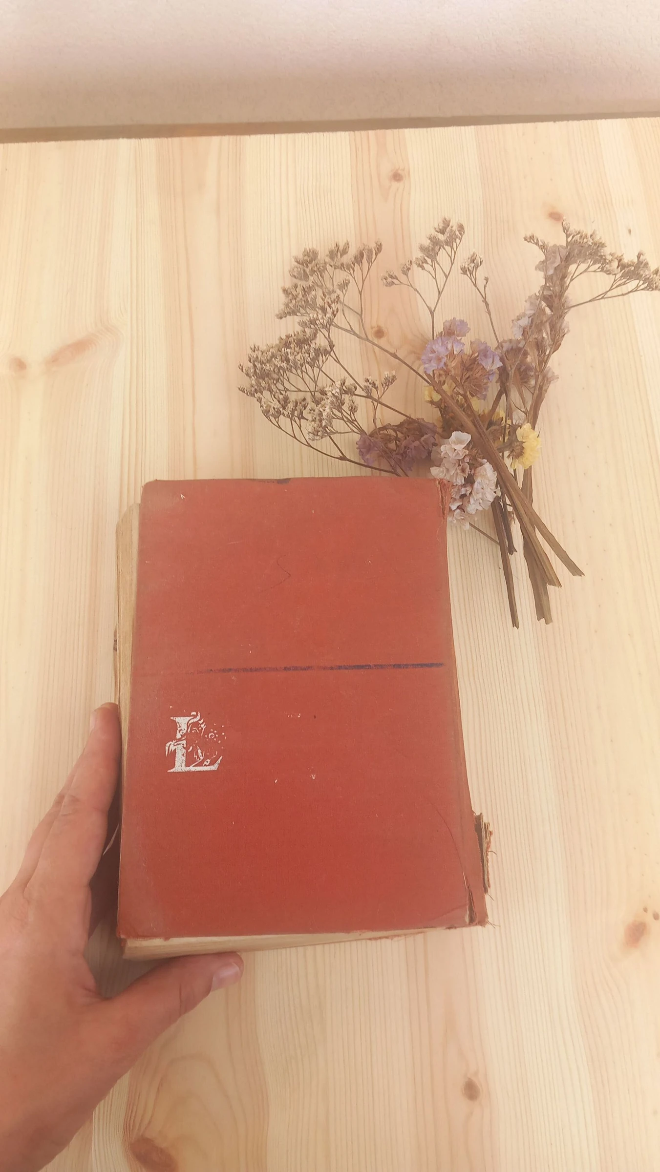 Larousse Élémentaire | Éditions Larousse – photo 2